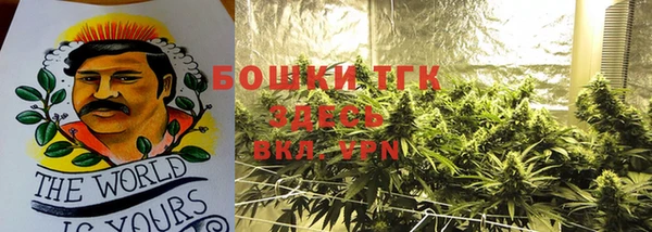 PSILOCYBIN Белокуриха