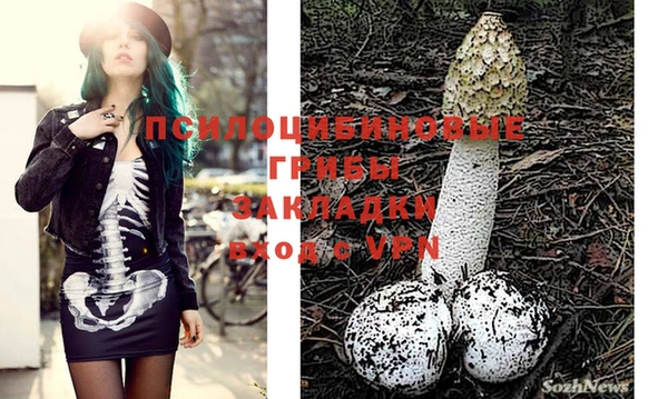 PSILOCYBIN Белокуриха