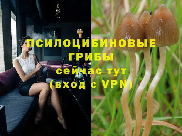 трава Белоозёрский