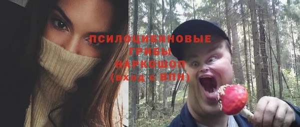 PSILOCYBIN Белокуриха
