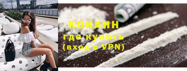 PSILOCYBIN Белокуриха