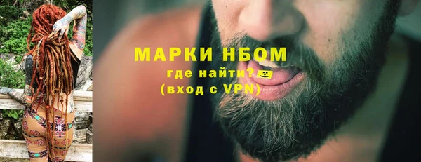 PSILOCYBIN Белокуриха