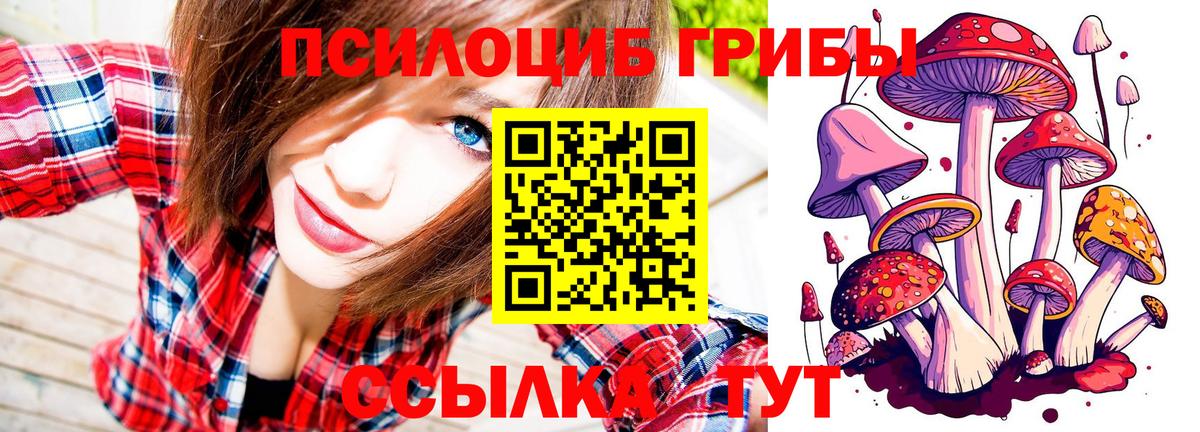 продажа наркотиков  Буйнакск  Галлюциногенные грибы прущие грибы 