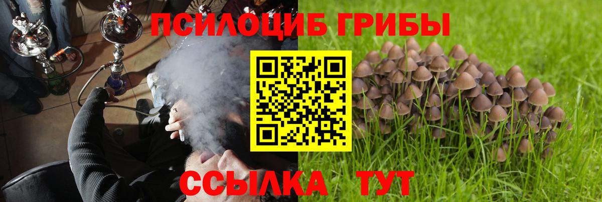 Галлюциногенные грибы мицелий  Вход с VPN  Буйнакск  Галлюциногенные грибы ЛСД 