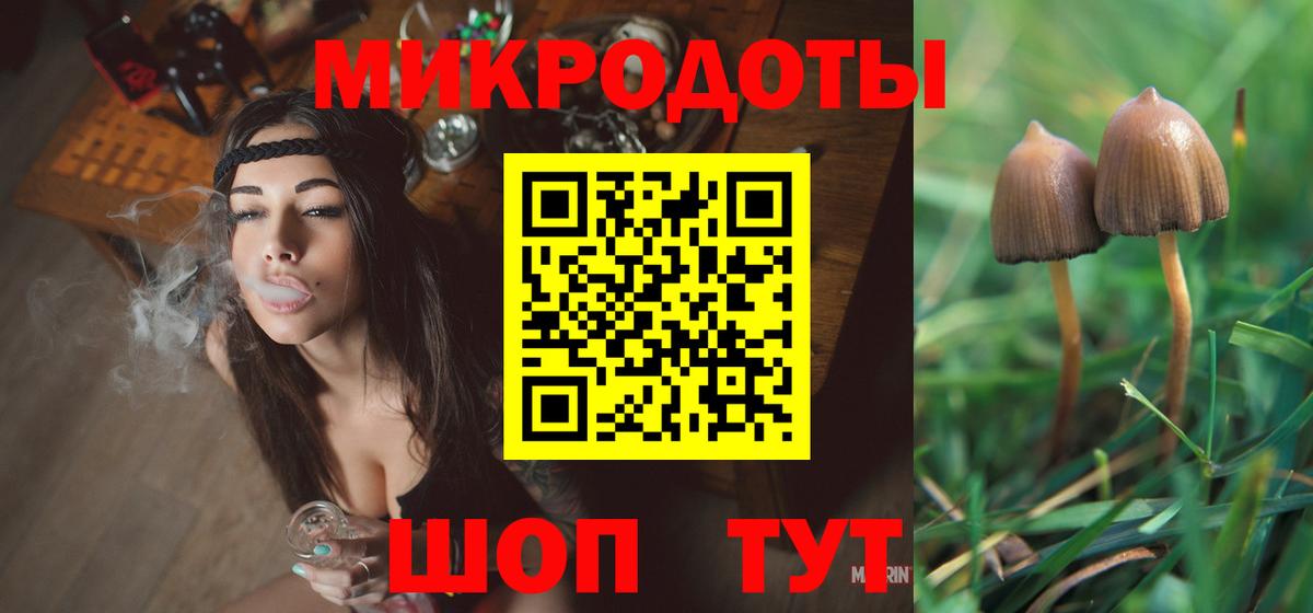 Галлюциногенные грибы Psilocybine cubensis Буйнакск