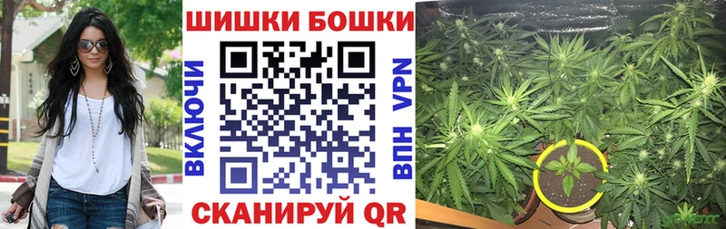 МАРИХУАНА ГИДРОПОН Буйнакск